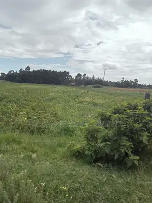 2 Acre on Sale at Nyakio Kinangop