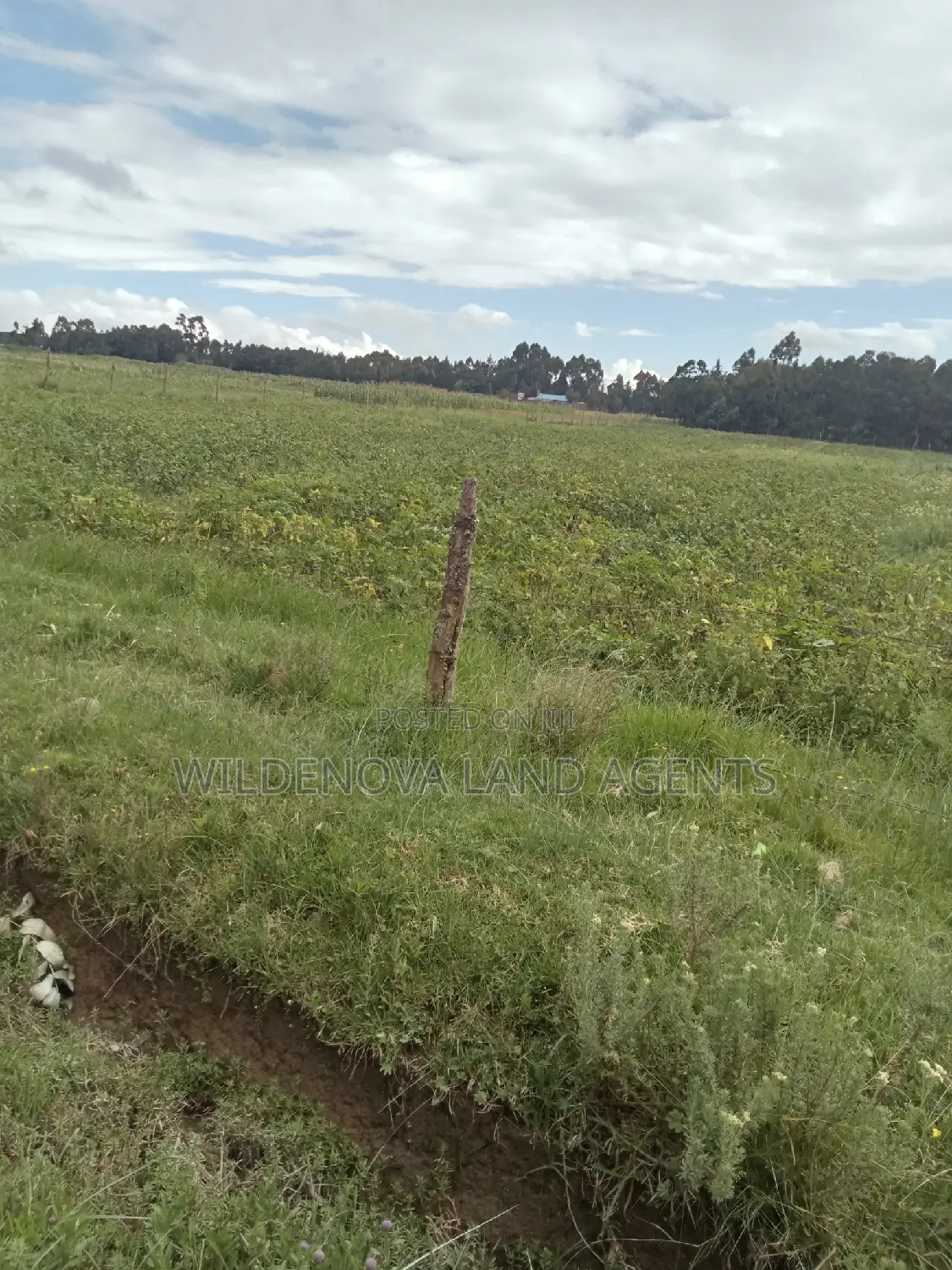 2 Acre on Sale at Nyakio Kinangop