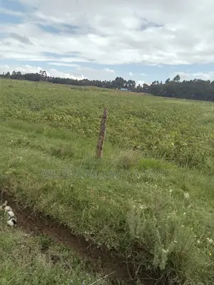 2 Acre on Sale at Nyakio Kinangop