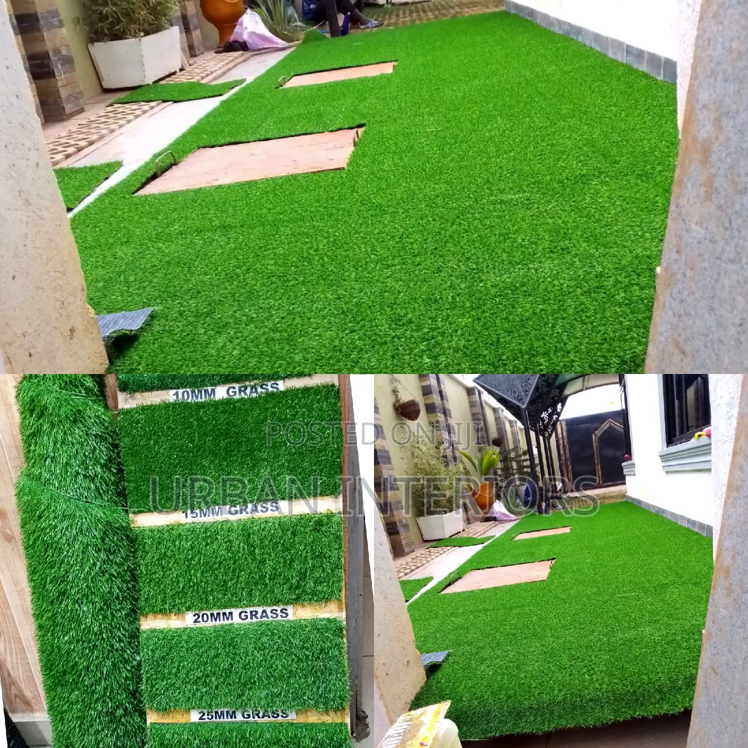 Grass Carpet Grass Carpet Grass Carpet Grass Carpet