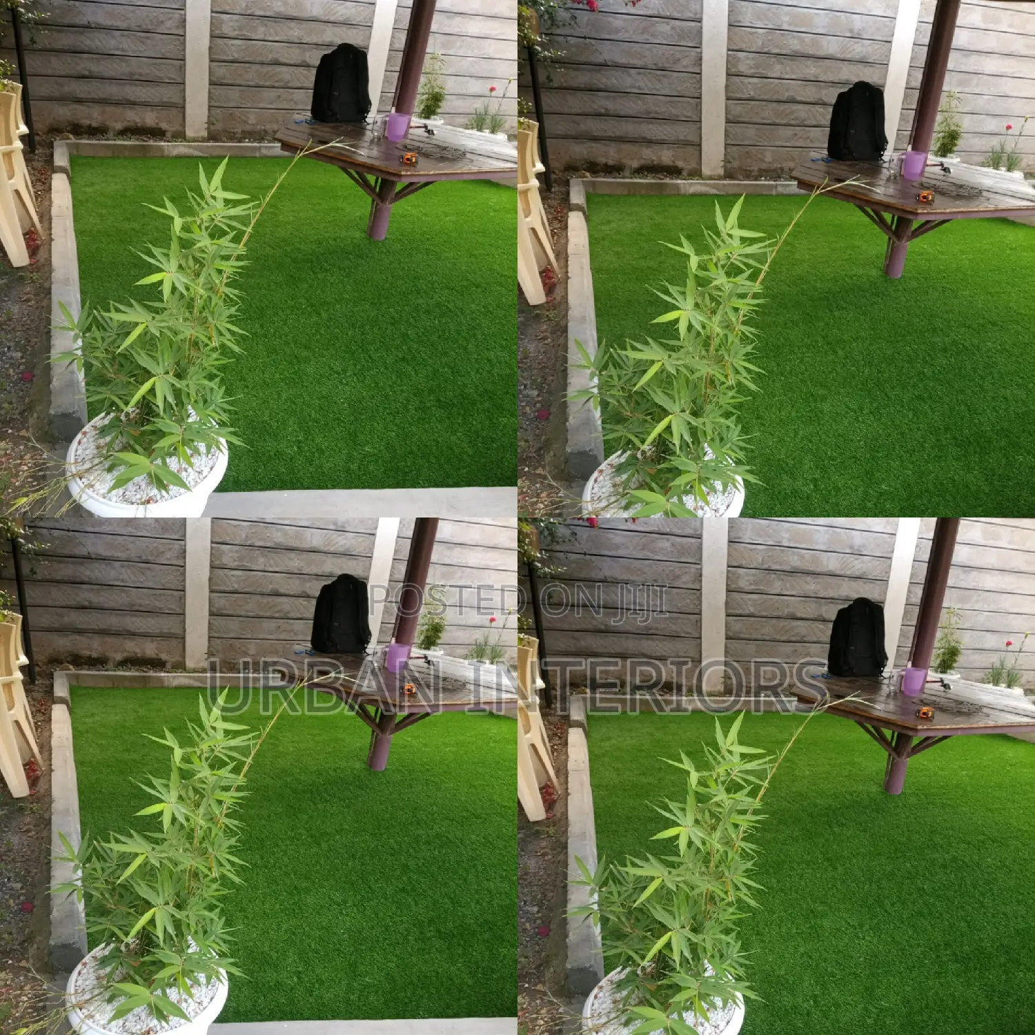 Grass Carpet Grass Carpet Grass Carpet Grass Carpet