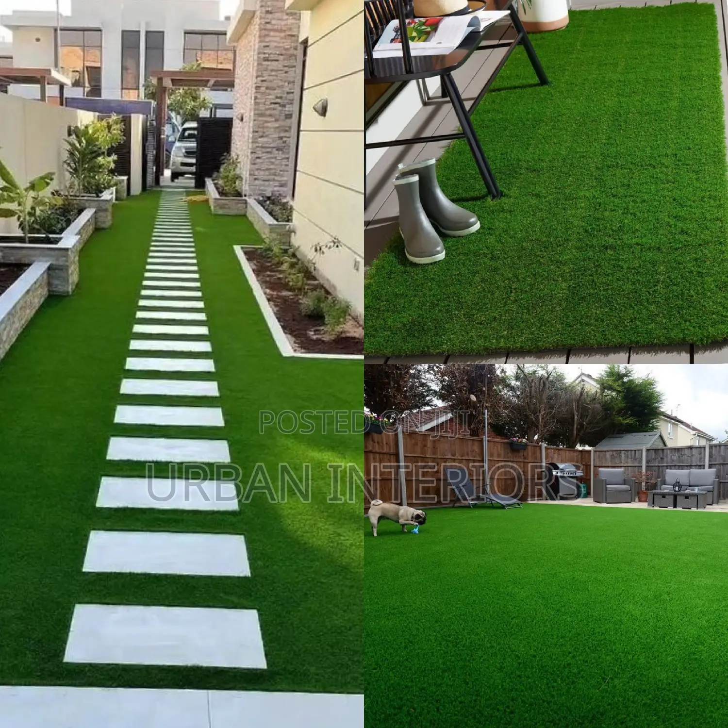 Grass Carpet Grass Carpet Grass Carpet Grass Carpet