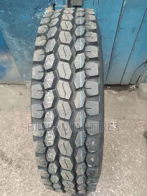 Sailun Tires Sizes 255/70r22.5 for Fi