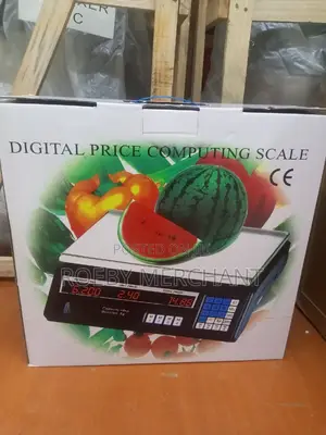 Digital Weighing Scale/Acs 30 Weighing Scale