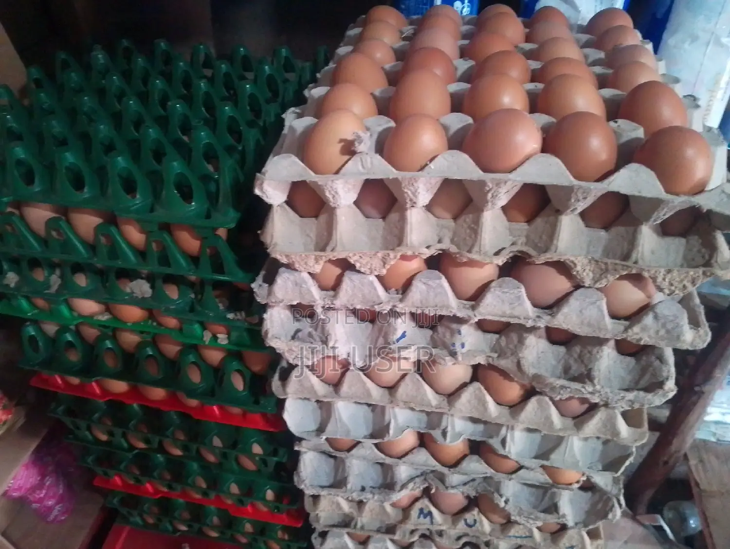 Eggs in Wholesale