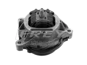 BMW Engine F20, F30 Engine Mounting