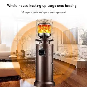 Outdoor Heater / Patio Heater/ Camping Heater