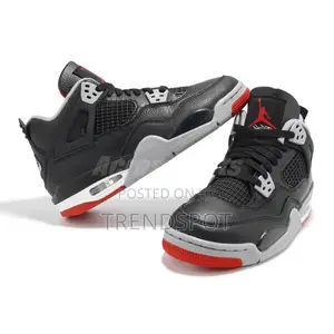 Jordan 4 Shoes for Looks
