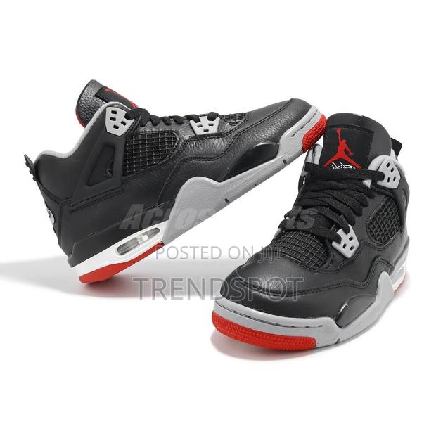 Jordan 4 Shoes for Looks