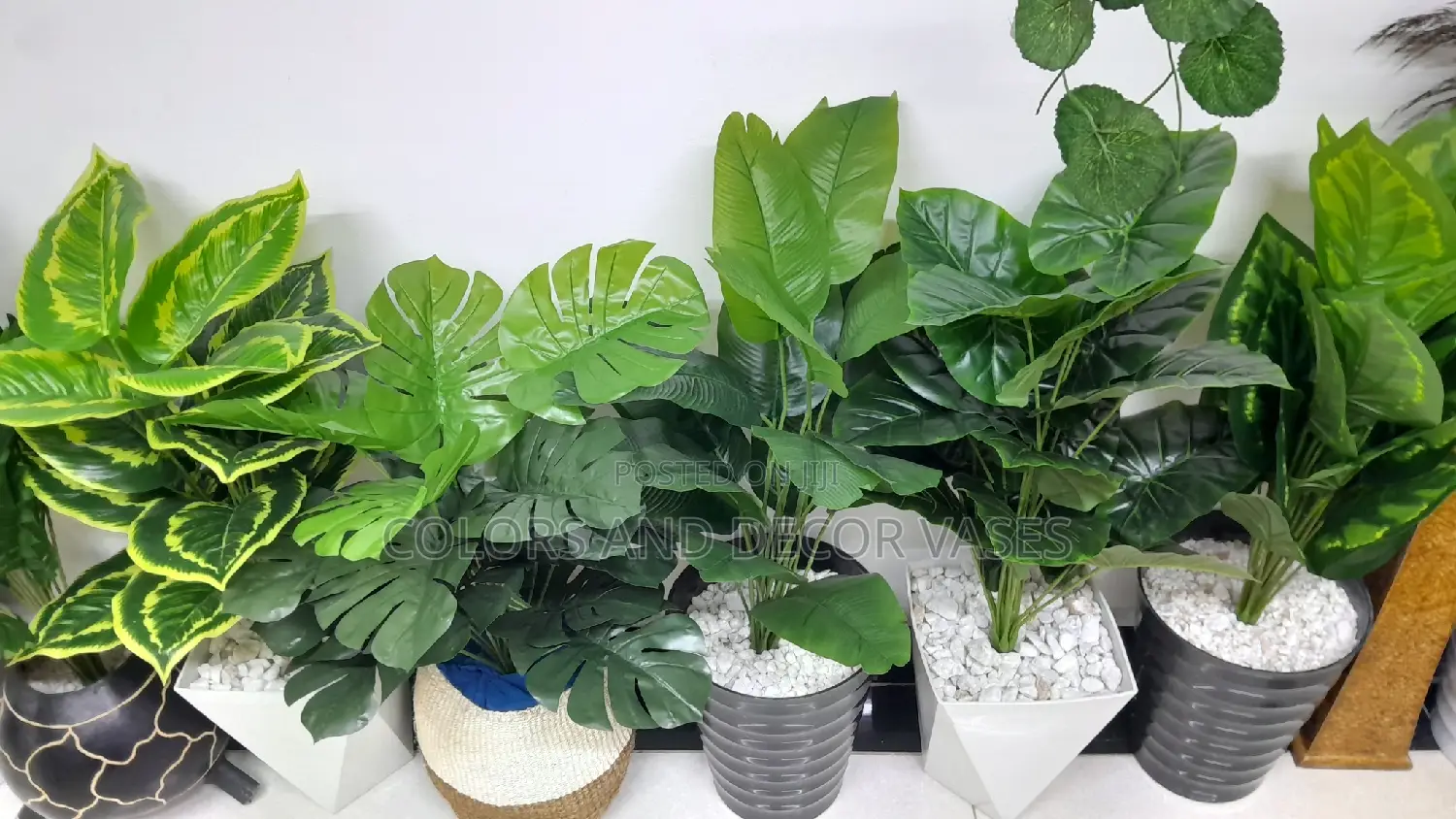 Plants Artificial Available in Variety