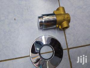 Urinal Flash Valve