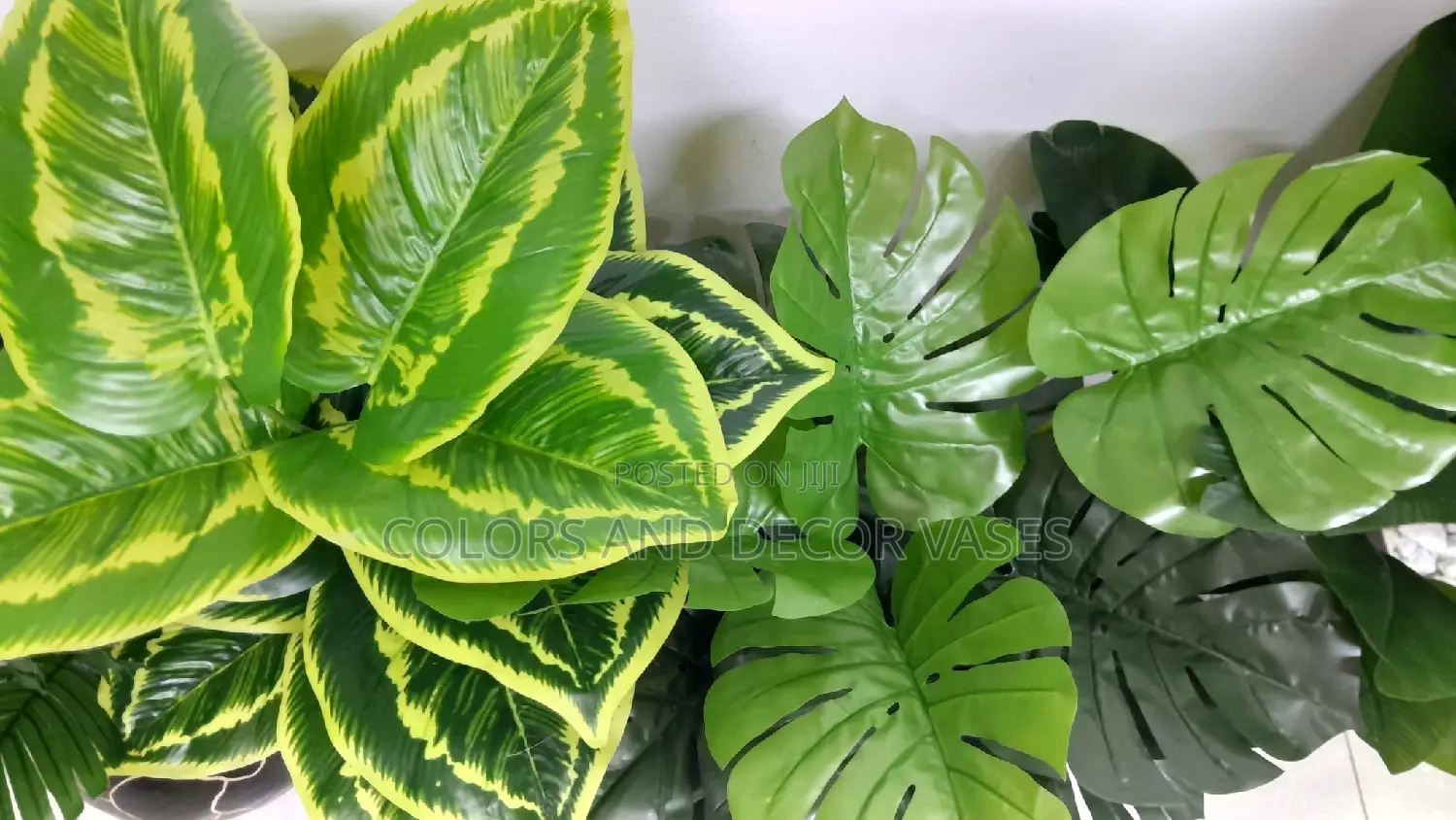 Plant Alone 70cm Long