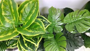 Plant Alone 70cm Long - thumbnail 2
