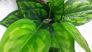 Home Decor Plants Artificial