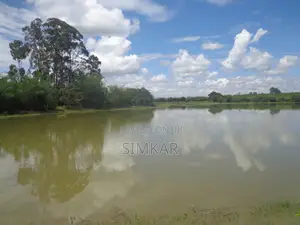 Blocks of Land for Sale in Murang'A