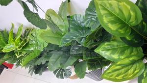 Variety of Artificial Plants 70cm - thumbnail 2