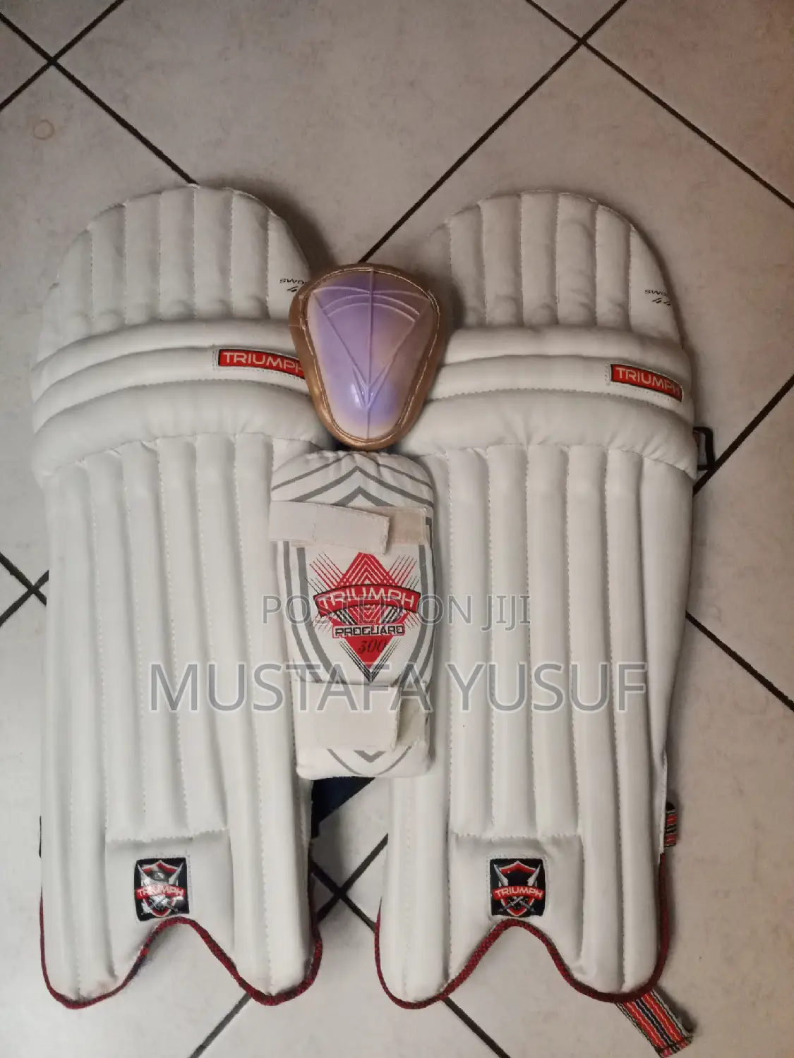 Cricket Set of Pads ,Guards and Gloves .