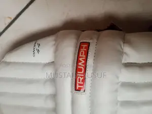 Cricket Set of Pads ,Guards and Gloves .