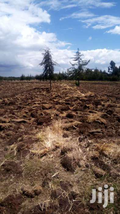 Selling 9 Acres in Nyandarua Wanjohi