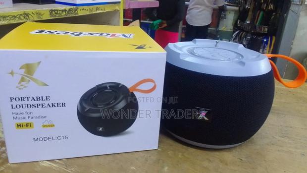 C15 Bluetooth Portable Speaker - main view