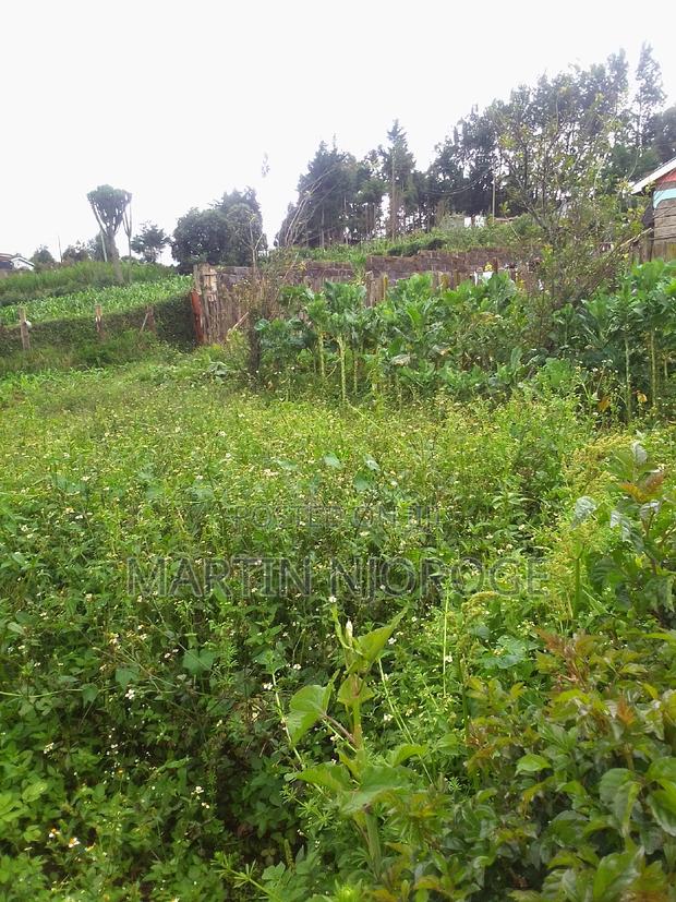 1⁄4 ( 100 by 100) Kinungi - main view