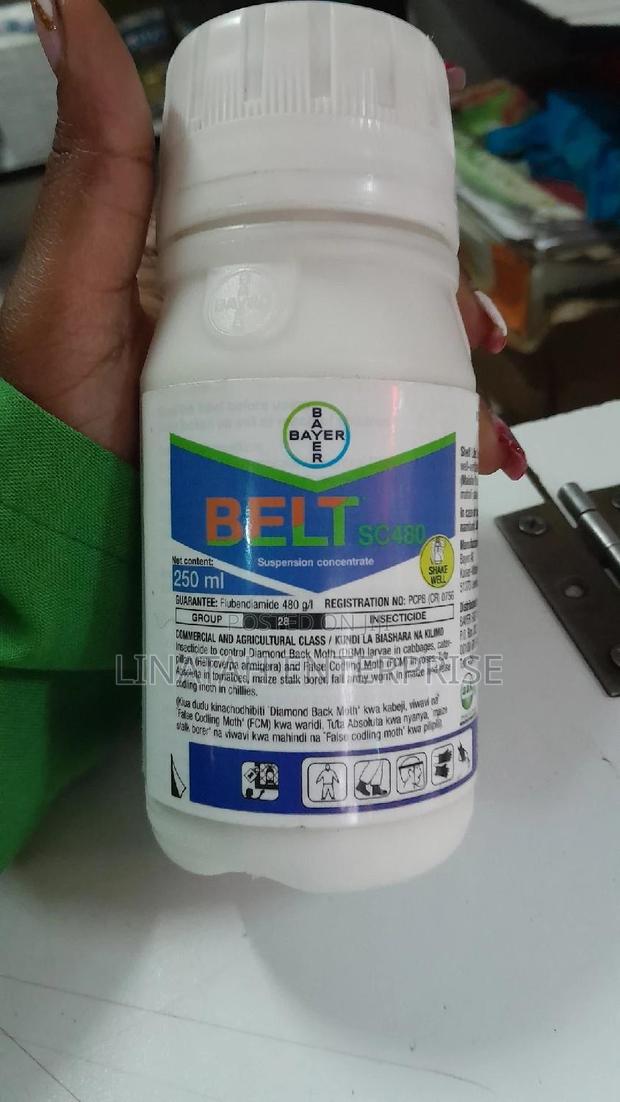 Belt 480sc 250ml Insecticide