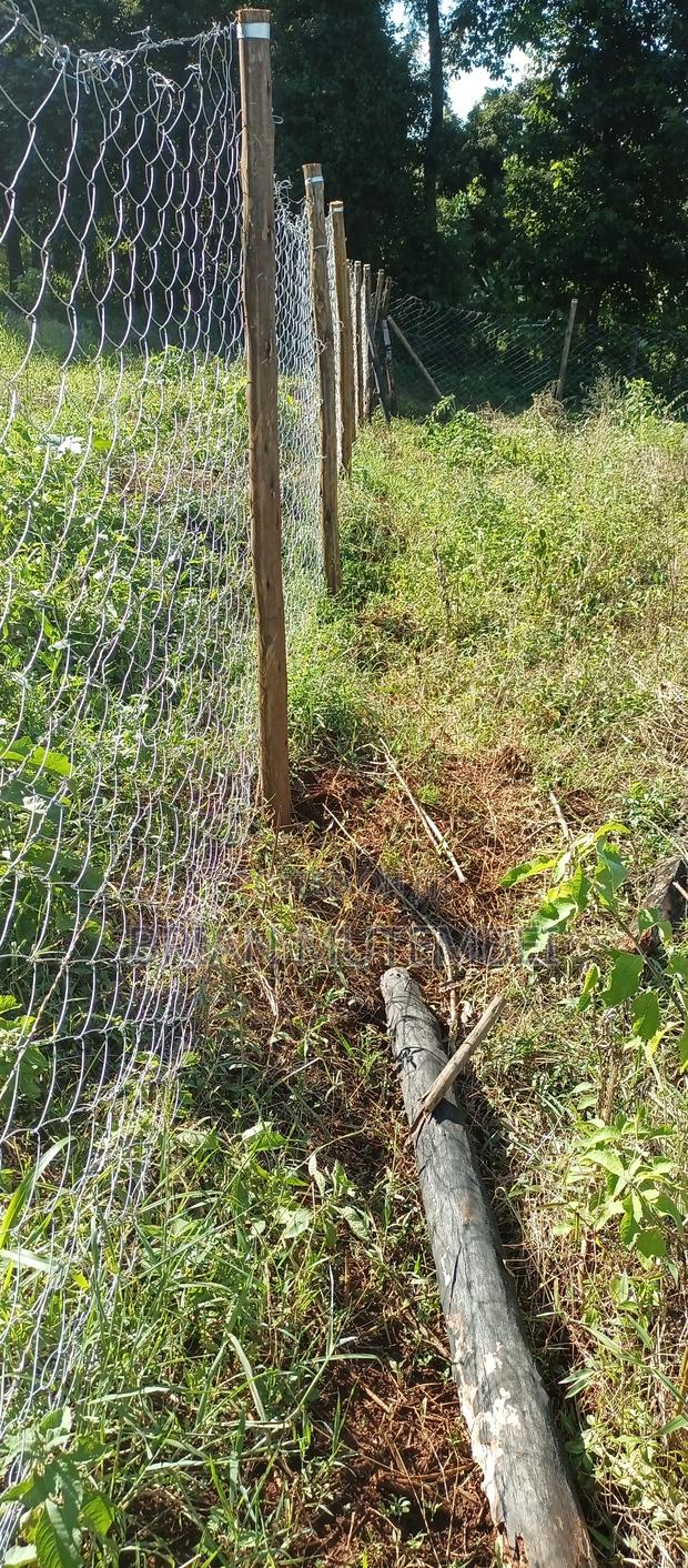 1/8 at Runogone Meru - thumbnail 5