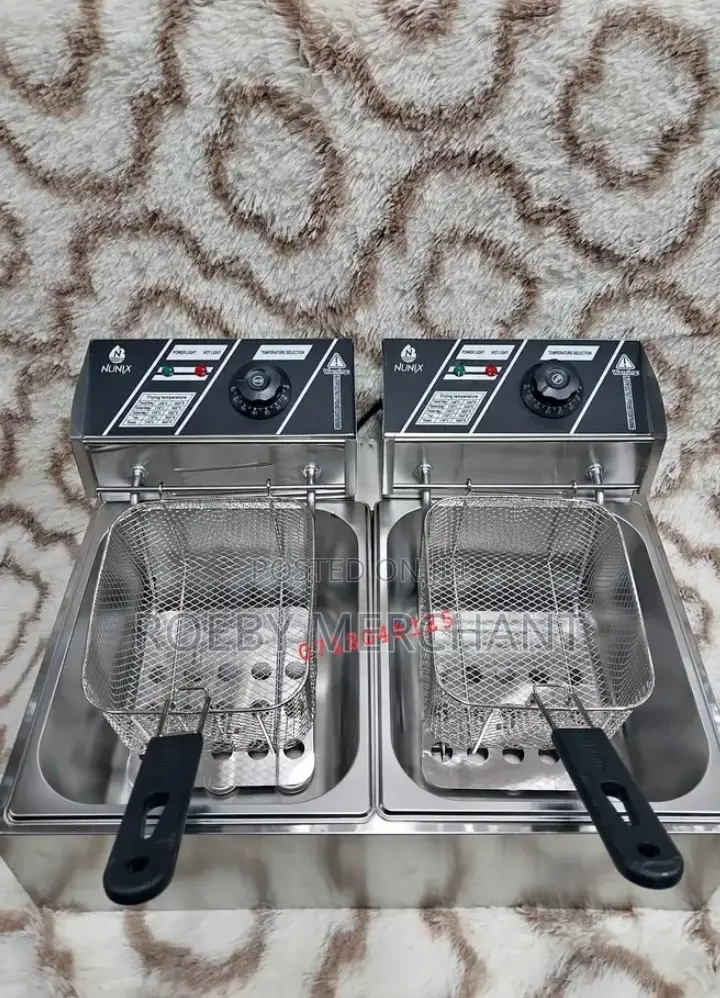 Affordable Double Deep Fryer