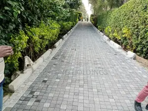 Survey Levels and Cabros Laying