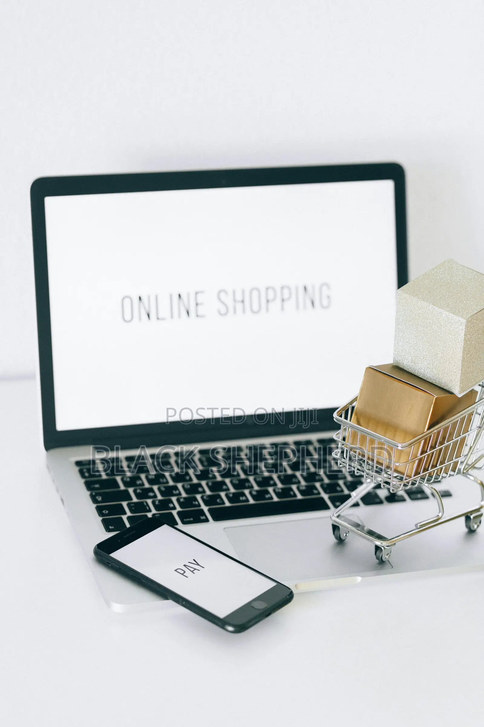 Ecommerce/Online Store Web Design