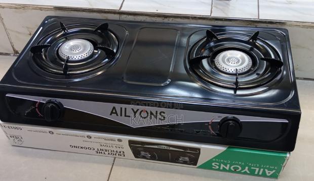 AILYONS Double Burner Gas Cooker Stainless Steel - GS013-2