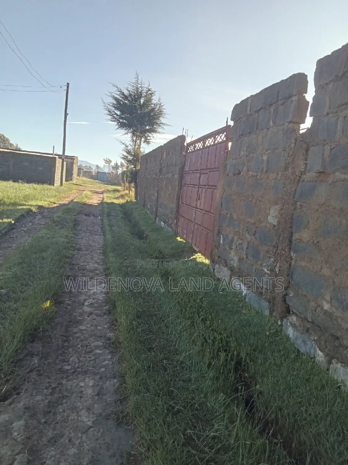 50*100 Plot on Sale at Magumu Kinangop