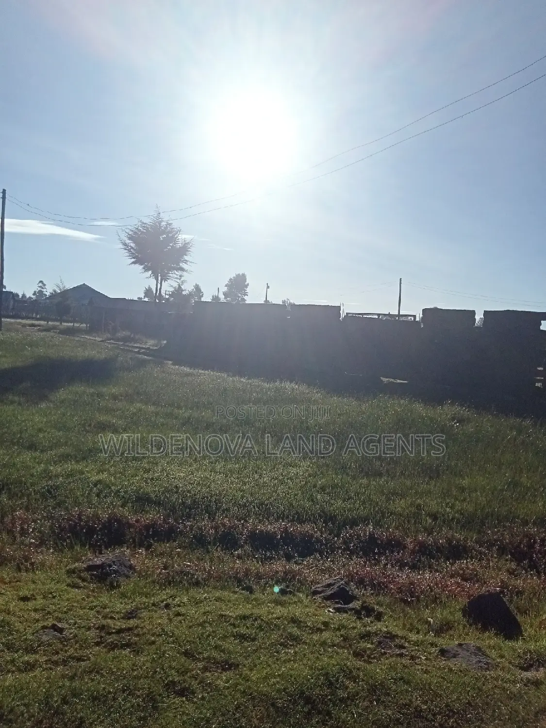 50*100 Plot on Sale at Magumu Kinangop