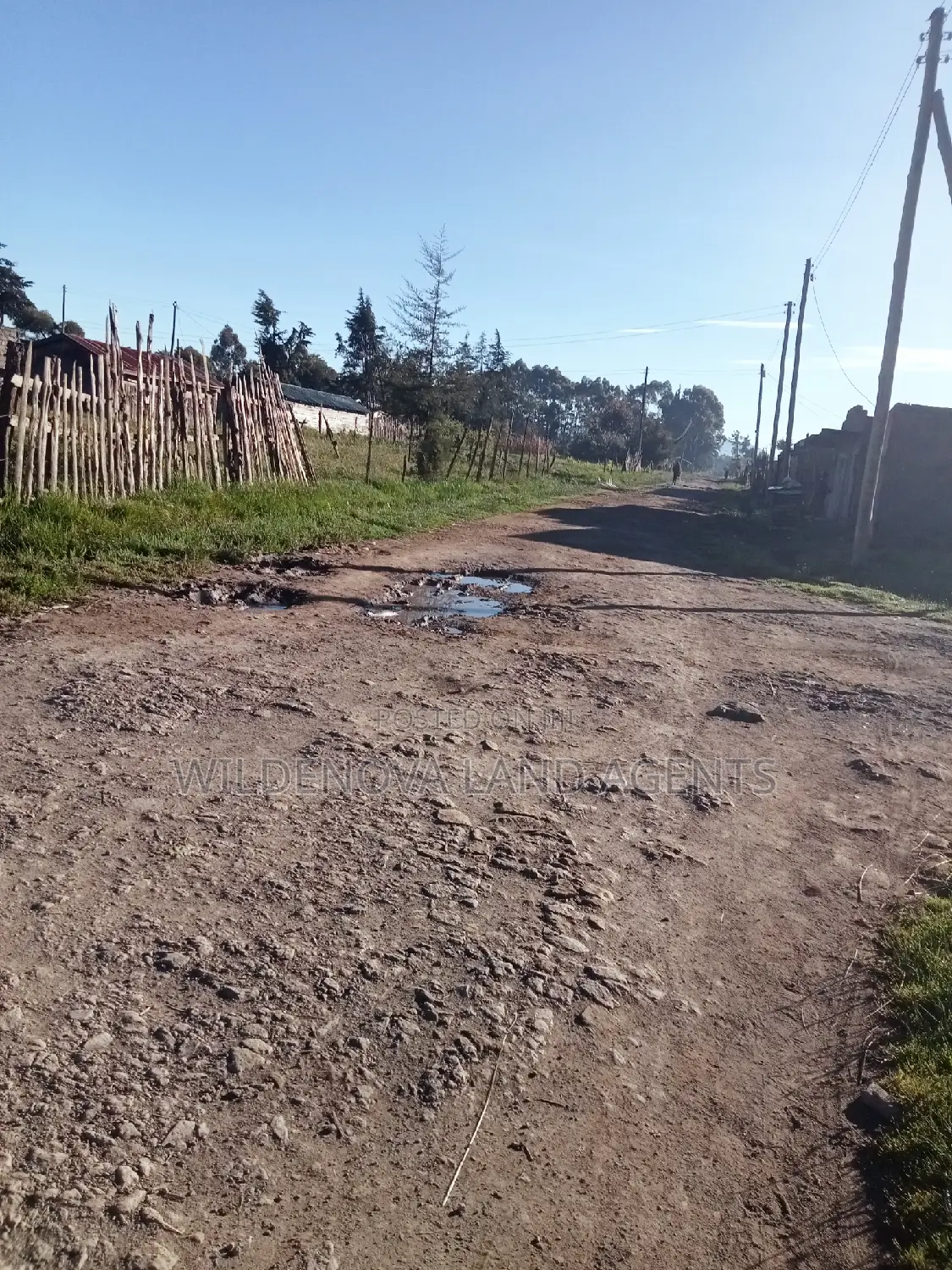 50*100 Plot on Sale at Magumu Kinangop