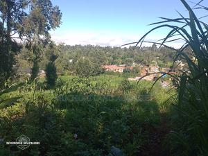 1/2 Acre Kerwa - thumbnail 2