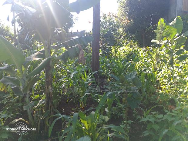 1/2 Acre Kerwa - thumbnail 4