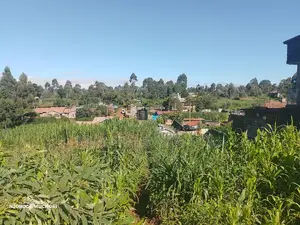 1/2 Acre Kerwa