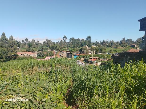 1/2 Acre Kerwa - thumbnail 5