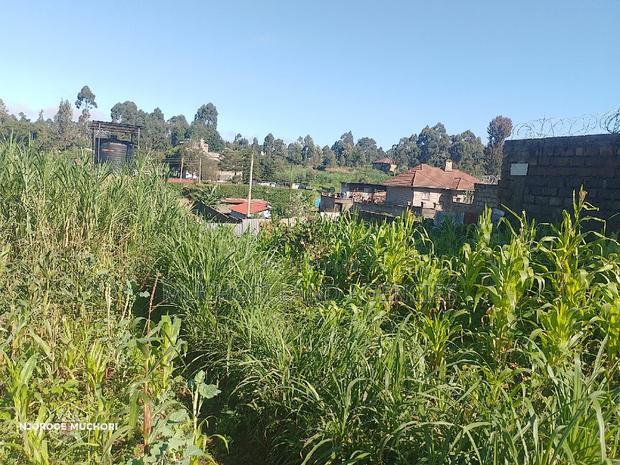 1/2 Acre Kerwa - thumbnail 7