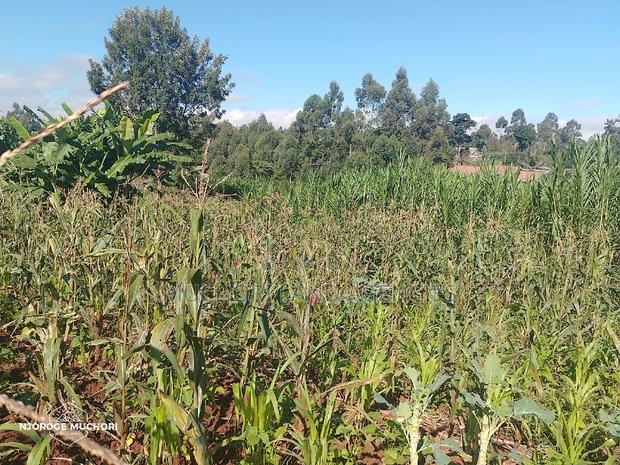 1/2 Acre Kerwa - thumbnail 8