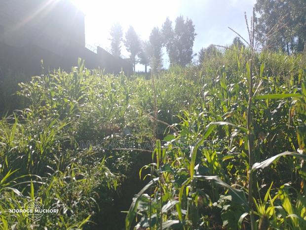 1/2 Acre Kerwa - thumbnail 9