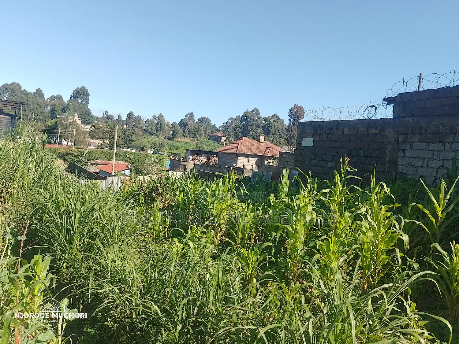 1/2 Acre Kerwa
