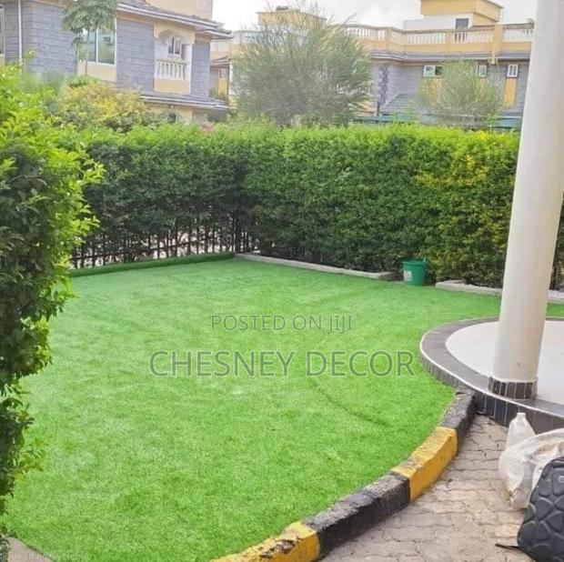 Turf Grass Turf Grass Turf Grass Turf Grass