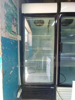 Display 650L Chiller - main view