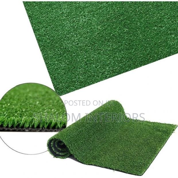 Turf Grass Turf Grass Turf Grass Turf Grass Turf Grass - main view