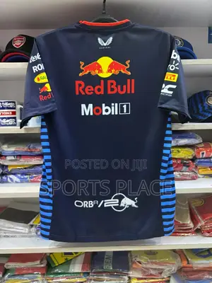 Redbull Racing Round-Neck 2024 Season Jersey