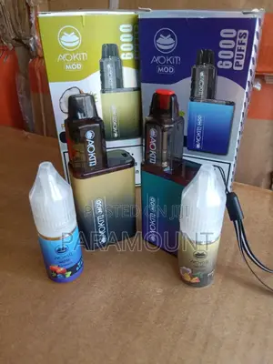 Blueberry Mint Refillable Rechargeable Vape