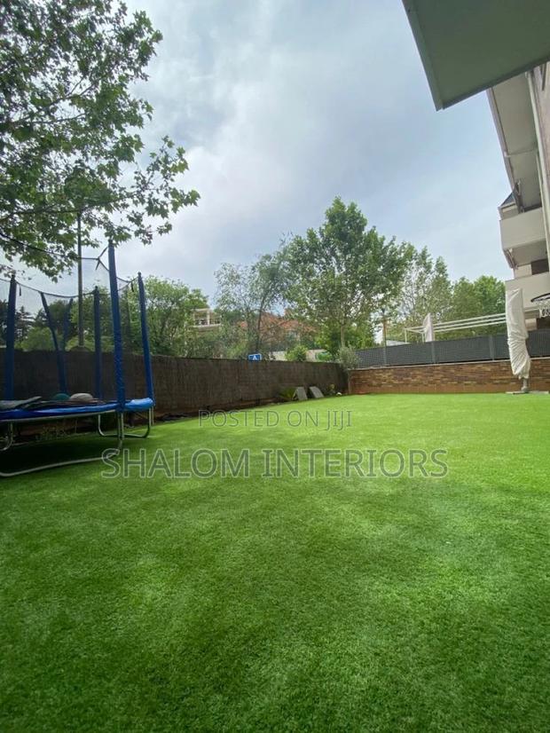 Turf Grass Turf Grass Turf Grass Turf Grass Turf Grass