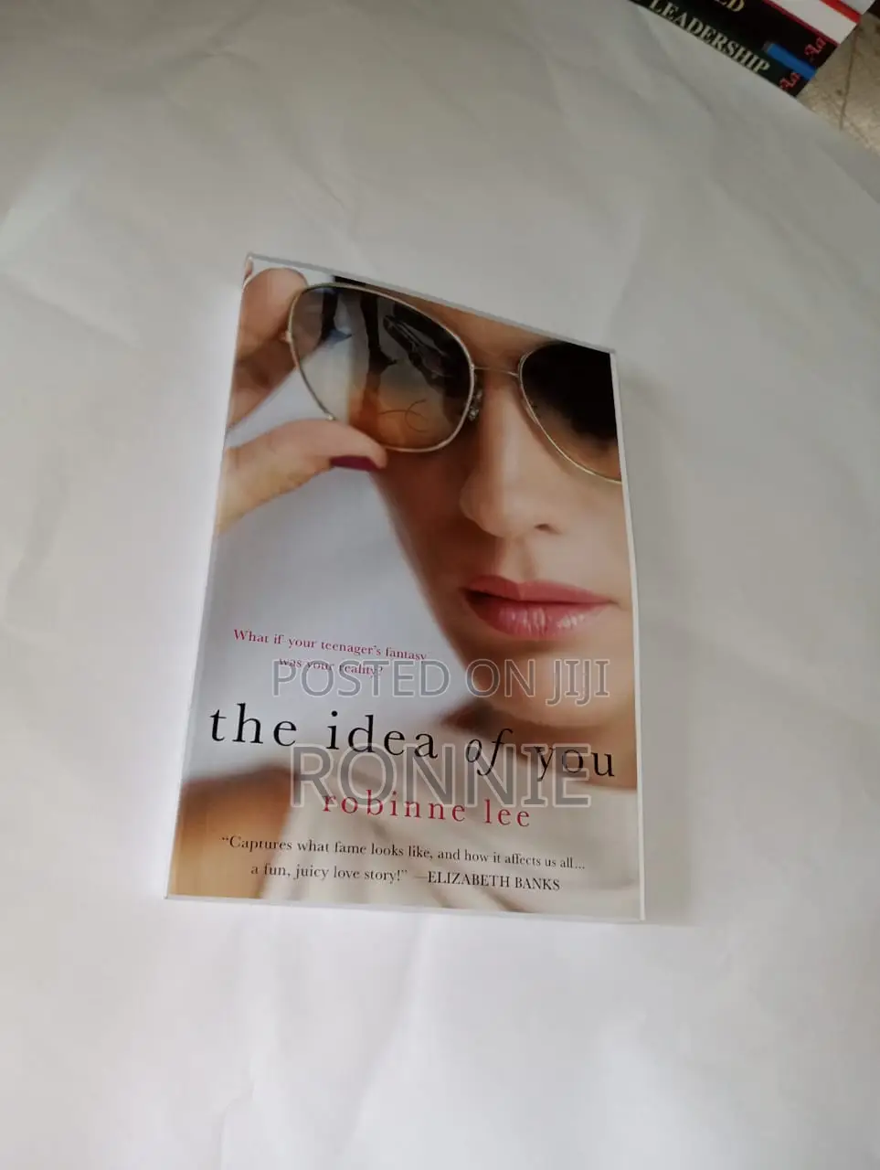 The Idea of You Book by Robinne Lee