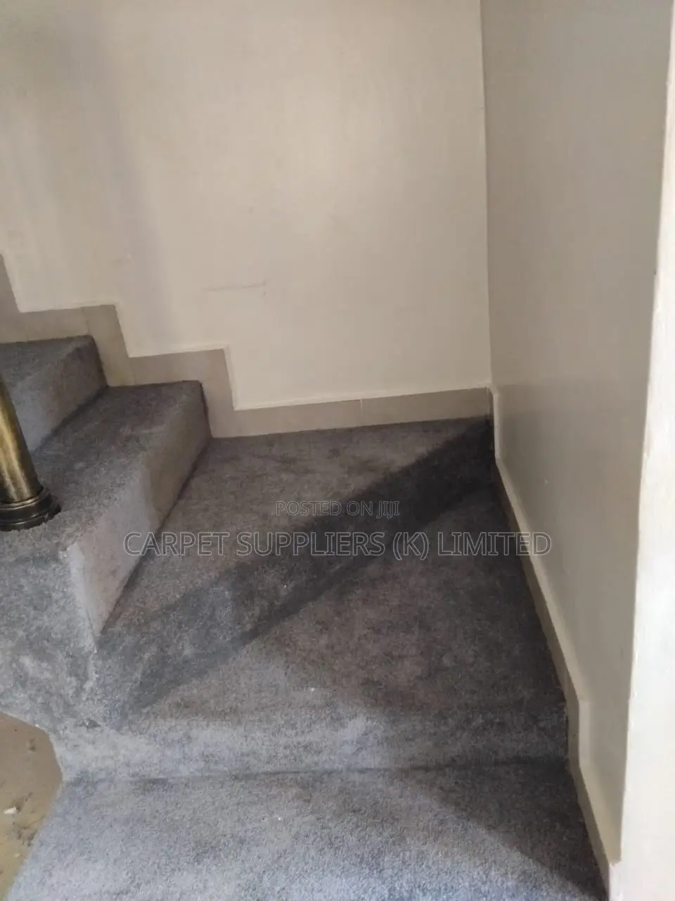 Grey Carpet